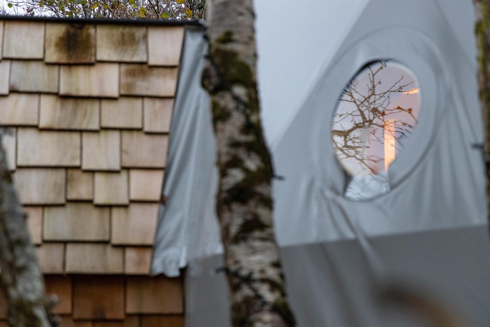 Vila Fernwood Clifden Pokoj fotografie