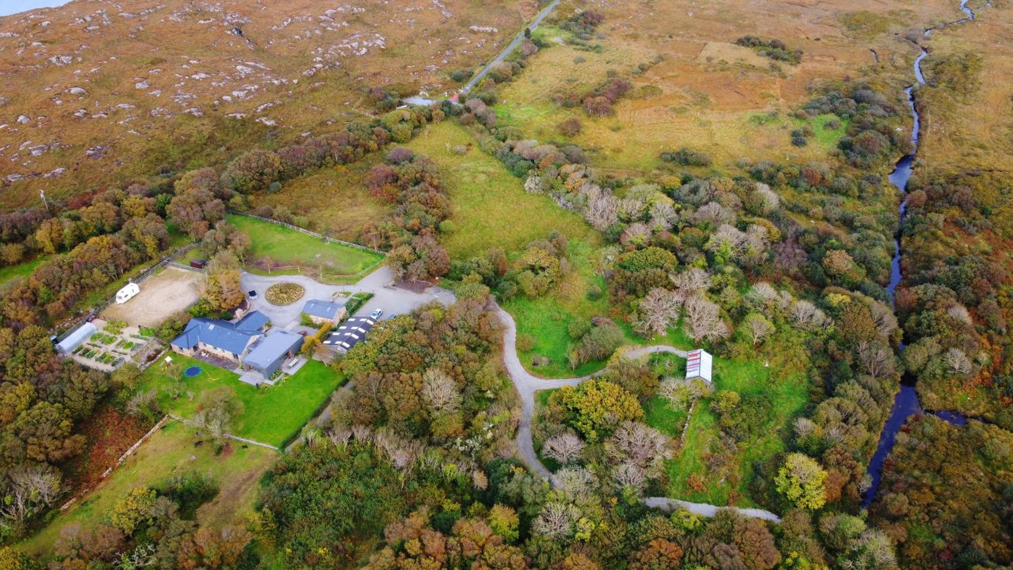 Vila Fernwood Clifden Exteriér fotografie
