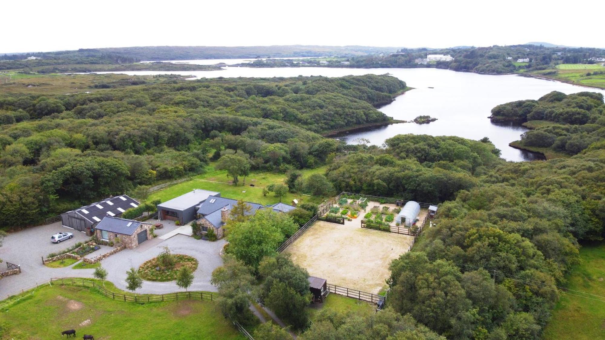 Vila Fernwood Clifden Exteriér fotografie